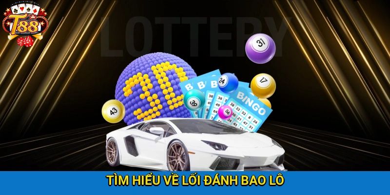 Thông tin chi tiết về câu hỏi bao lô là gì cho người mới