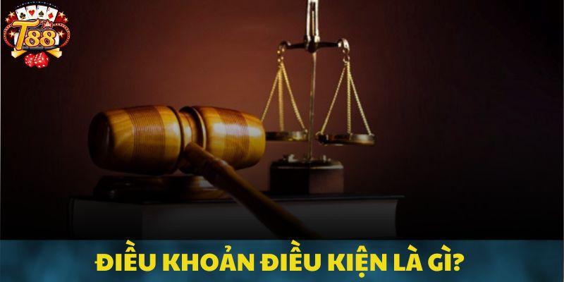 Thông tin quan trọng về quy định điều khoản điều kiện tại T88