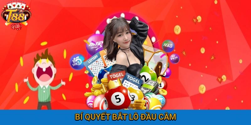 Kinh nghiệm bắt lô đầu câm siêu tốc an toàn cho newbie