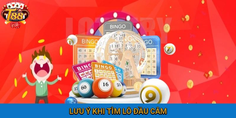 Lưu ý khi tìm lô câm phần đầu dành cho người mới 2025